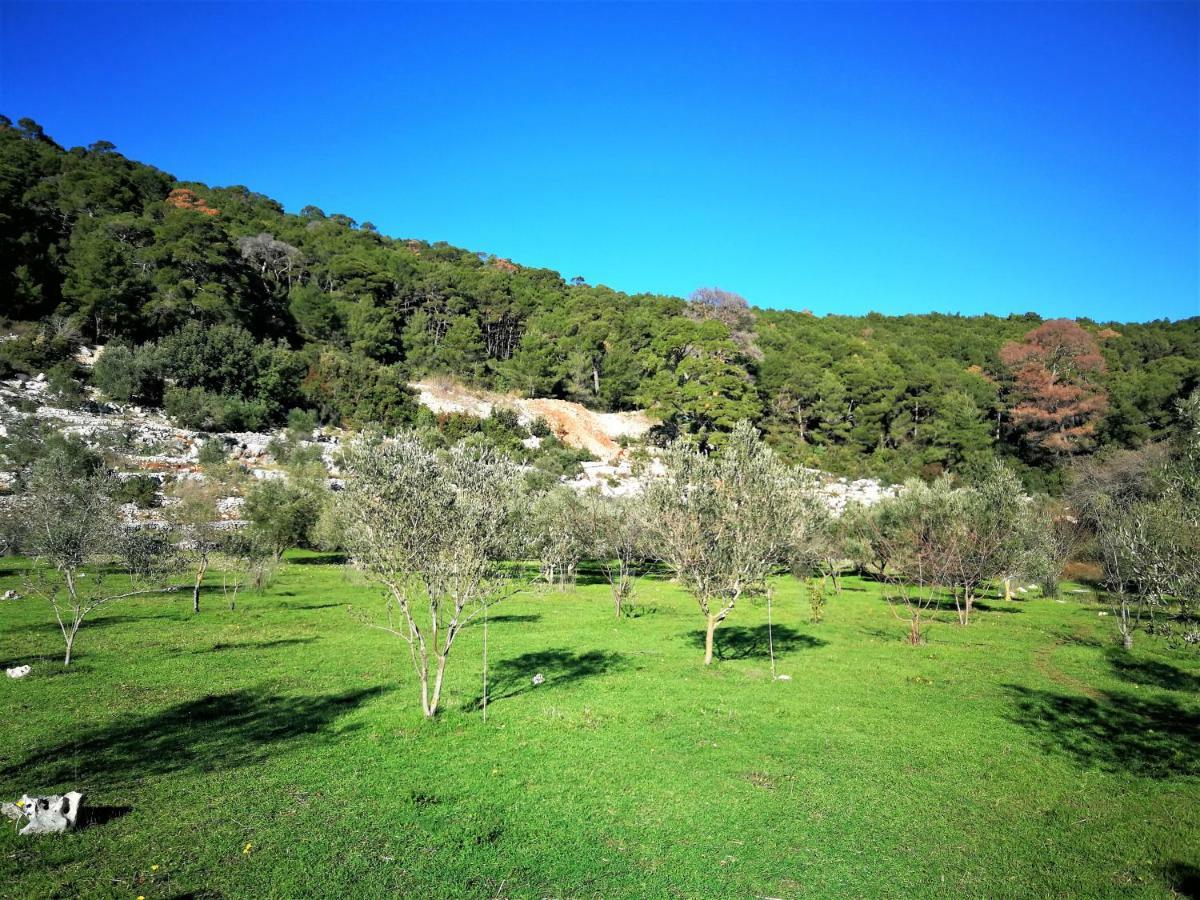 Agriculture & Holiday House Lasko Goveđari Εξωτερικό φωτογραφία