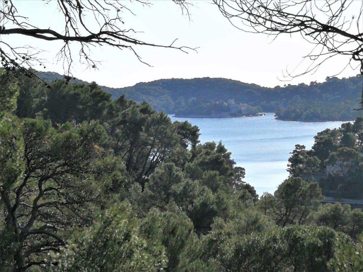 Agriculture & Holiday House Lasko Goveđari Εξωτερικό φωτογραφία