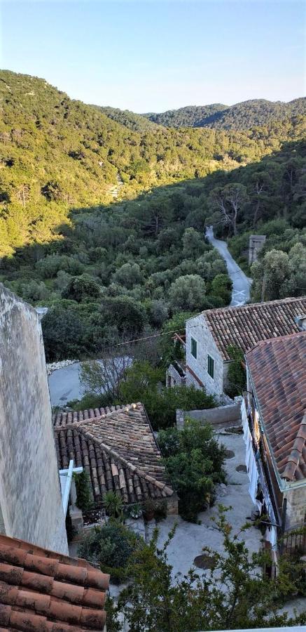 Agriculture & Holiday House Lasko Goveđari Εξωτερικό φωτογραφία